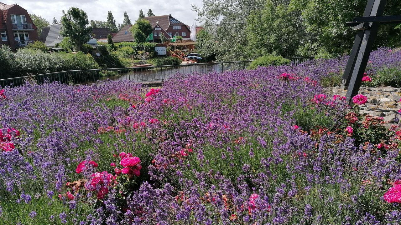 IMG_20240704_114007 IMG_20240704_114007